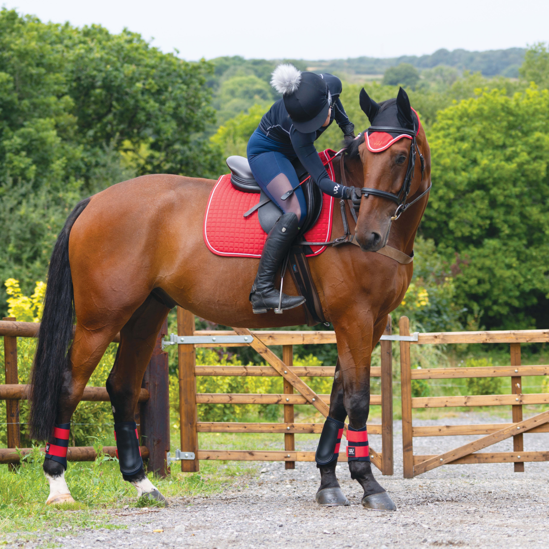 Woof Wear Colour Fusion Dressage Saddlecloth #colour_royal-red