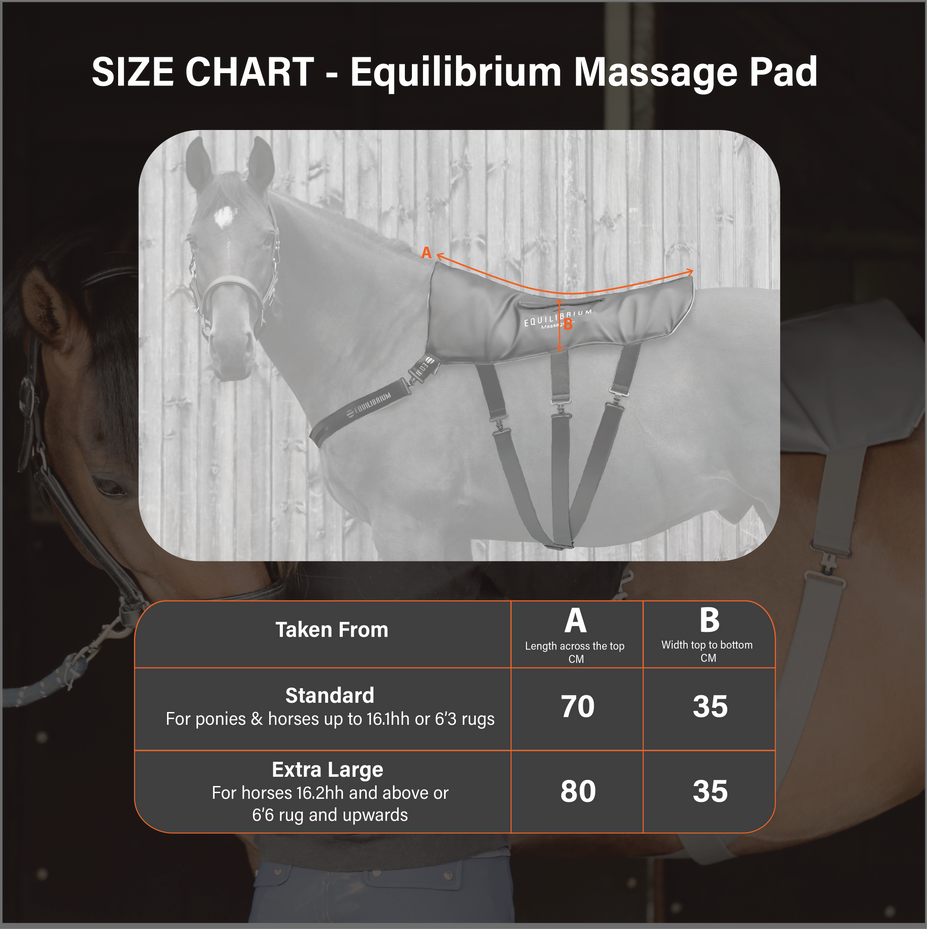 Equilibrium Massage Pad