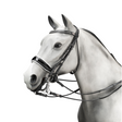 Equipe Charlotte Double Bridle - No Reins #colour_black