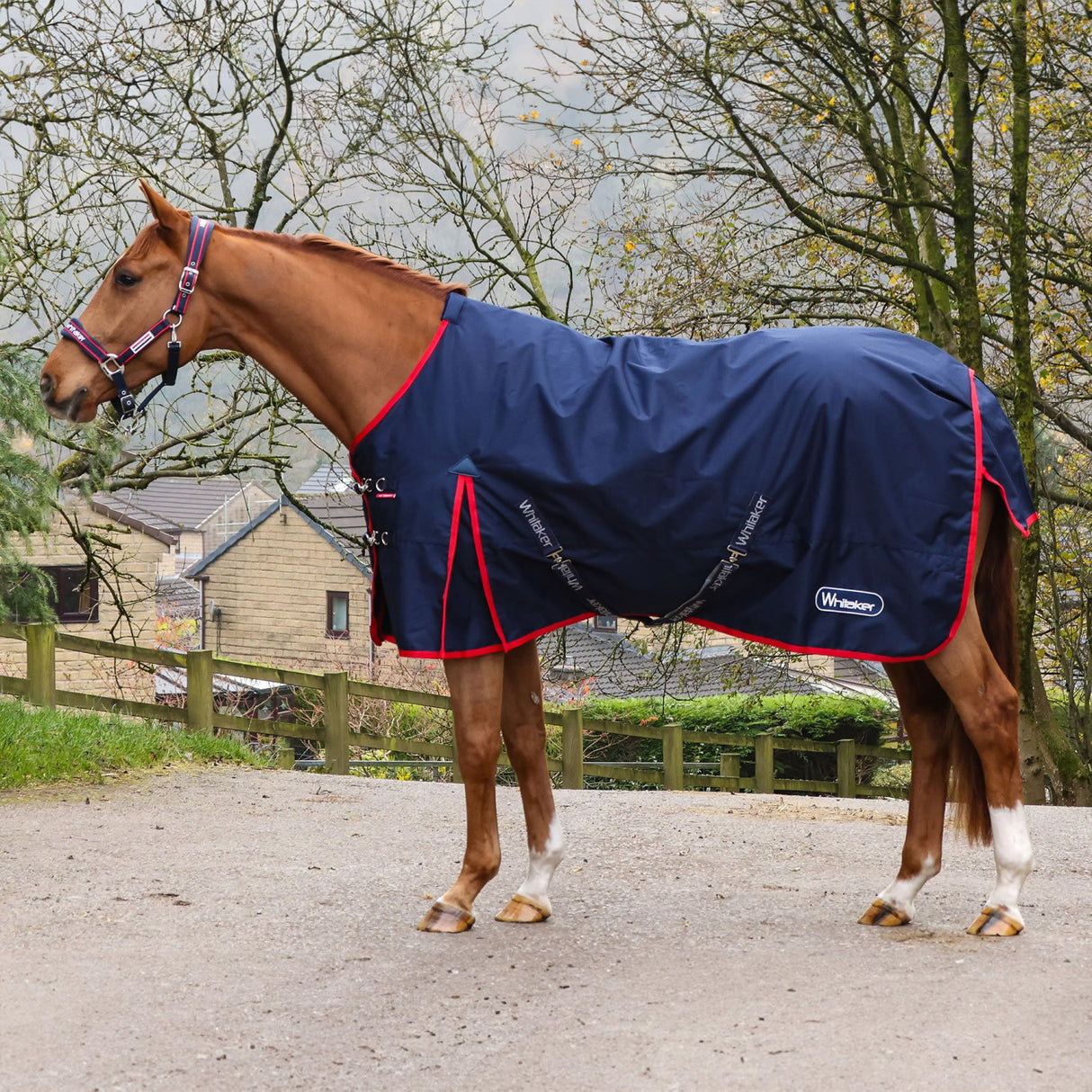 Whitaker Rastrick V2 0g Turnout Rug
