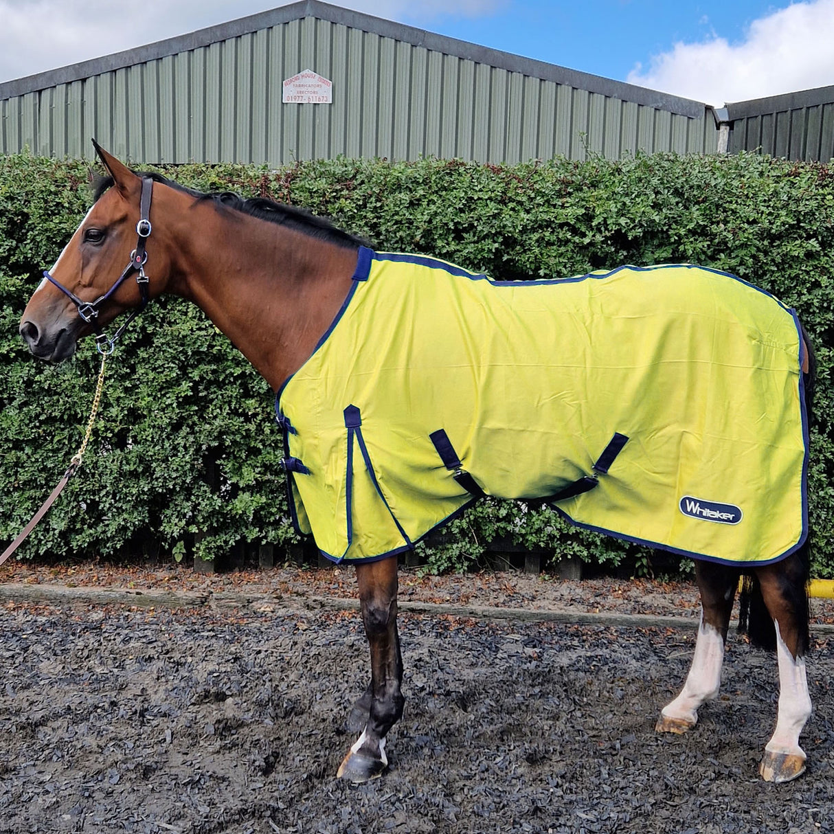 Whitaker Allerton Multi-Function Cotton Sheet #colour_yellow