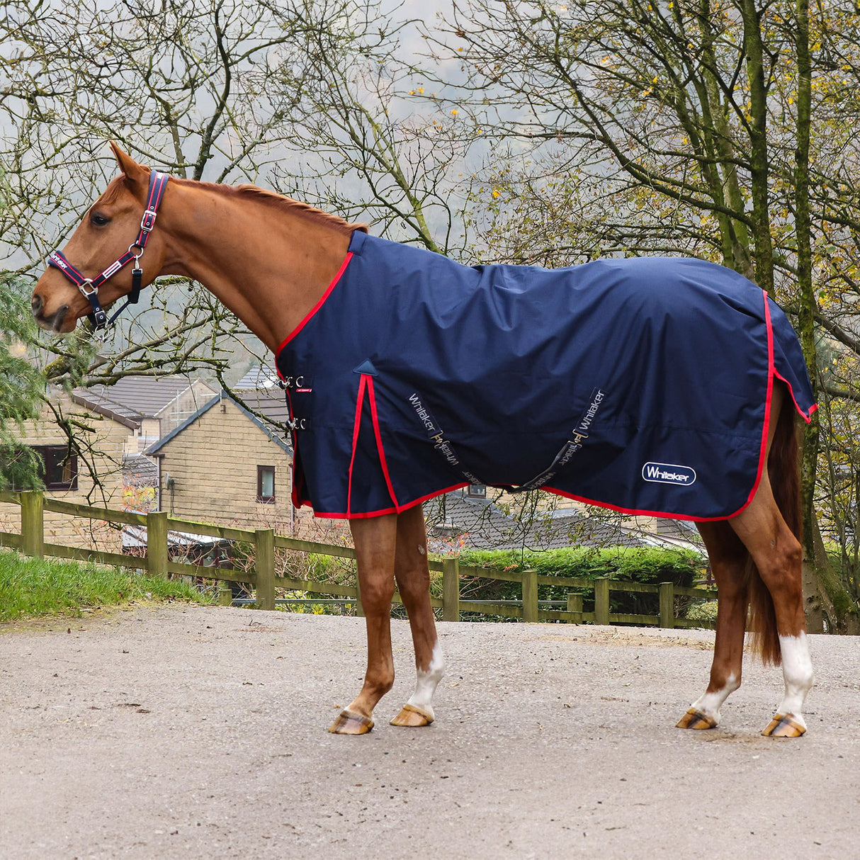 Whitaker Rastrick V2 100g Turnout Rug