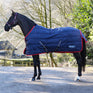 Whitaker Rastrick V2 100g Stable Rug