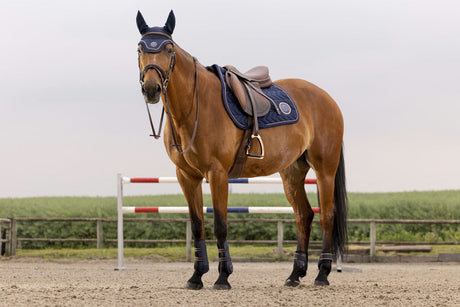 Equitheme Skolstart Saddle Cloth #colour_navy