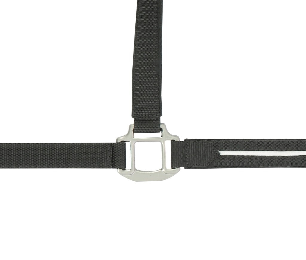 Equitheme French Touch Halter & Lead Rope #colour_black