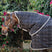 Horseware Ireland Rhino 100g Stable Hood #colour_black-grey-white-check-grey