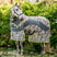 Horseware Ireland Amigo CamoFly Rug #colour_camofly-print-lime