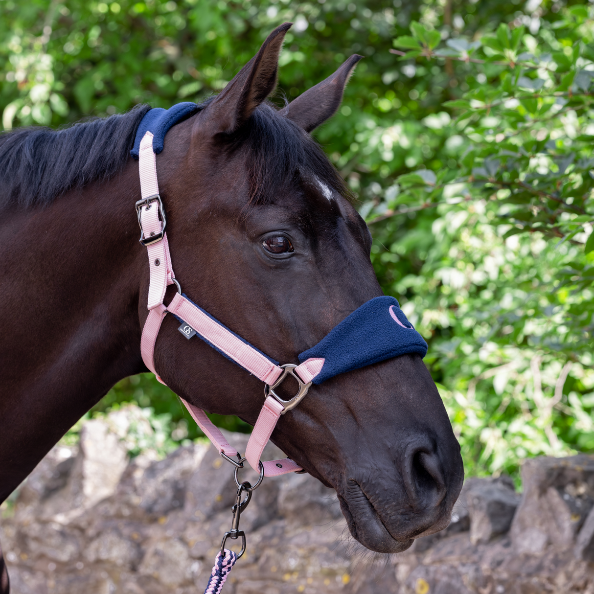 GS Equestrian & Country Headcollar & Lead Rope Set