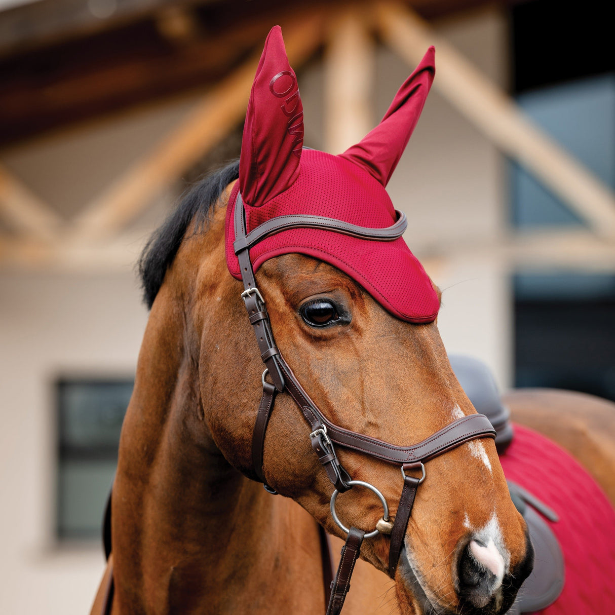 Horseware Ireland Amigo Ear Net #colour_mulberry