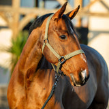 Horseware Ireland Amigo Headcollar & Leadrope Set #colour_bramble