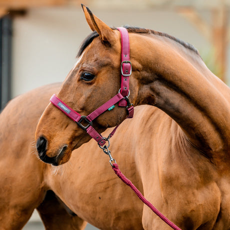 Horseware Ireland Amigo Headcollar & Leadrope Set #colour_mulberry