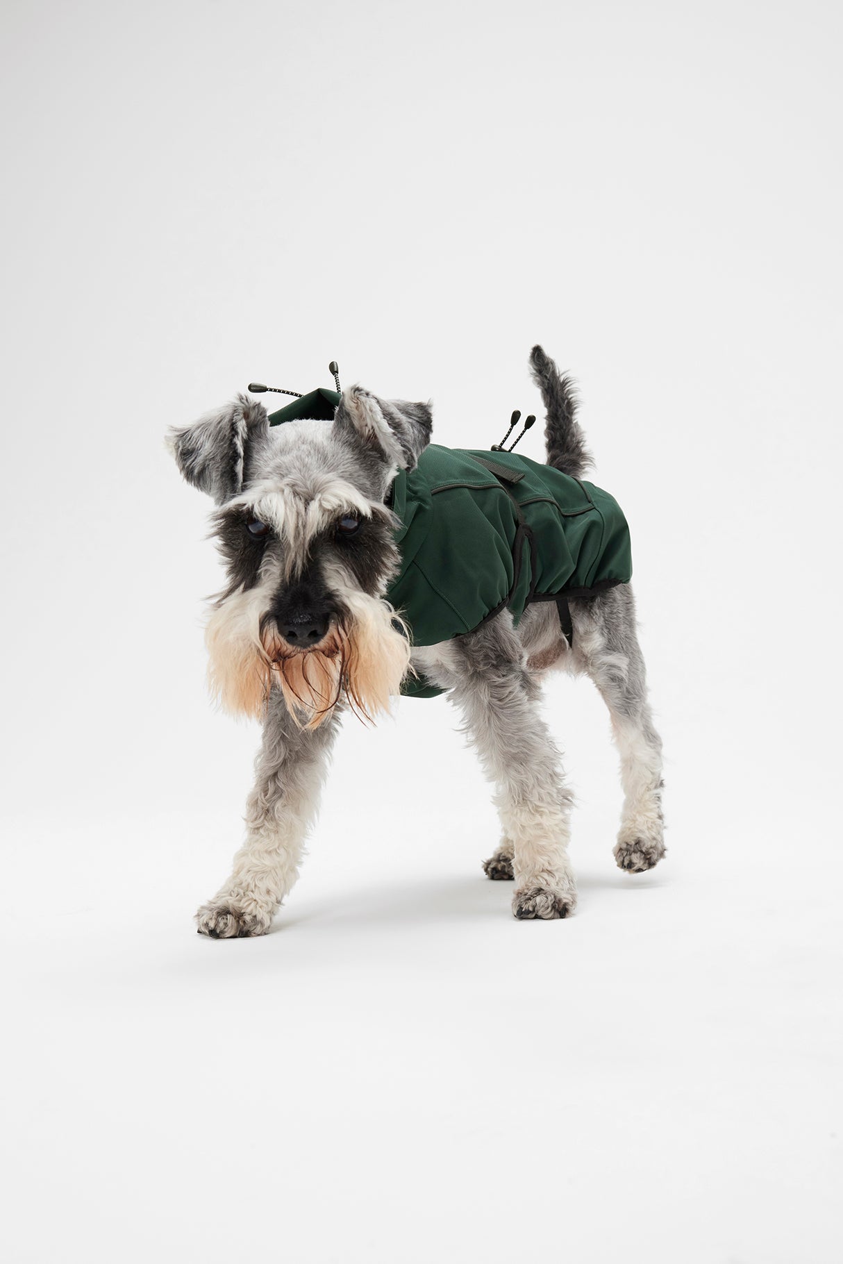 Mountain Horse Grace Dog Jacket