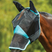 Weatherbeeta ComfiTec Deluxe Fine Mesh Mask With Ears & Nose #colour_black-turquoise