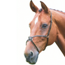 Shires Velociti GARA Mexikanisches Reithalfter