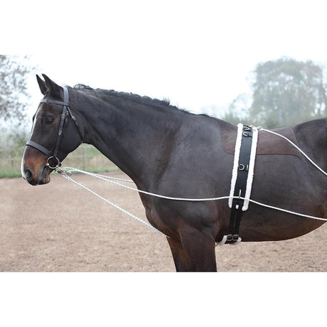 Shires Lunging Aid