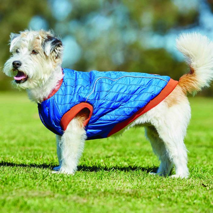 Weatherbeeta Puffer Dog Coat #colour_blue-flame