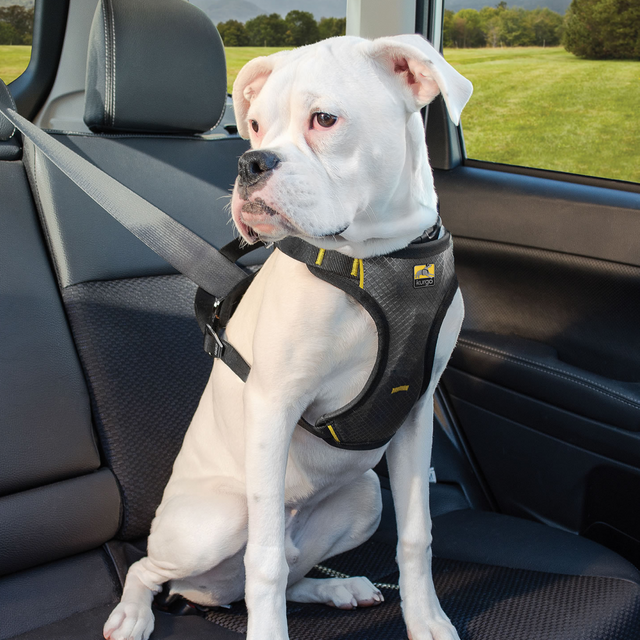 Kurgo Impact Seatbelt Harness #colour_black