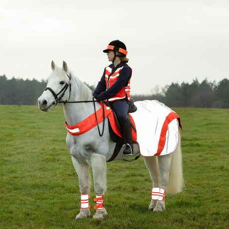 Equisafety Mercury Exercise Rug #colour_red