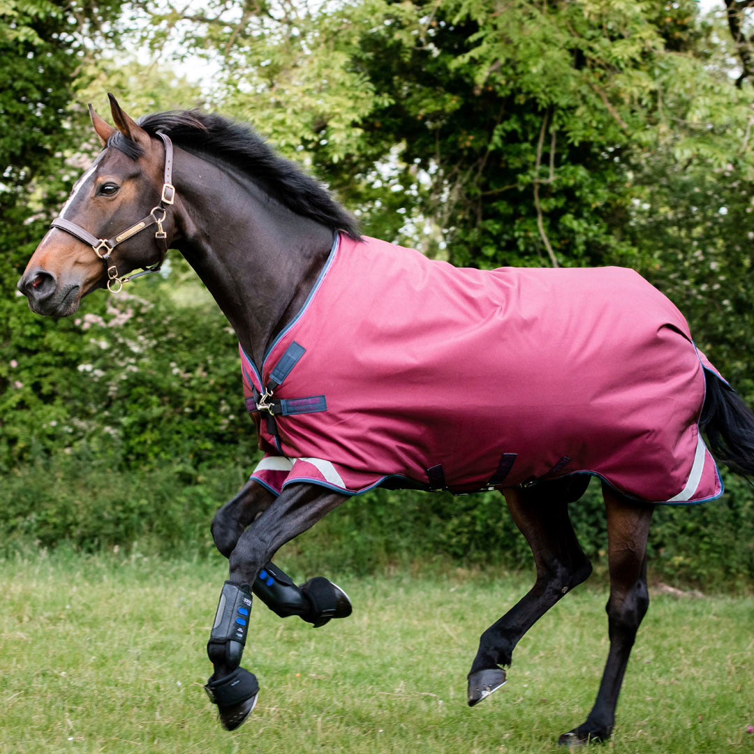 #colour_burgundy-teal-navy