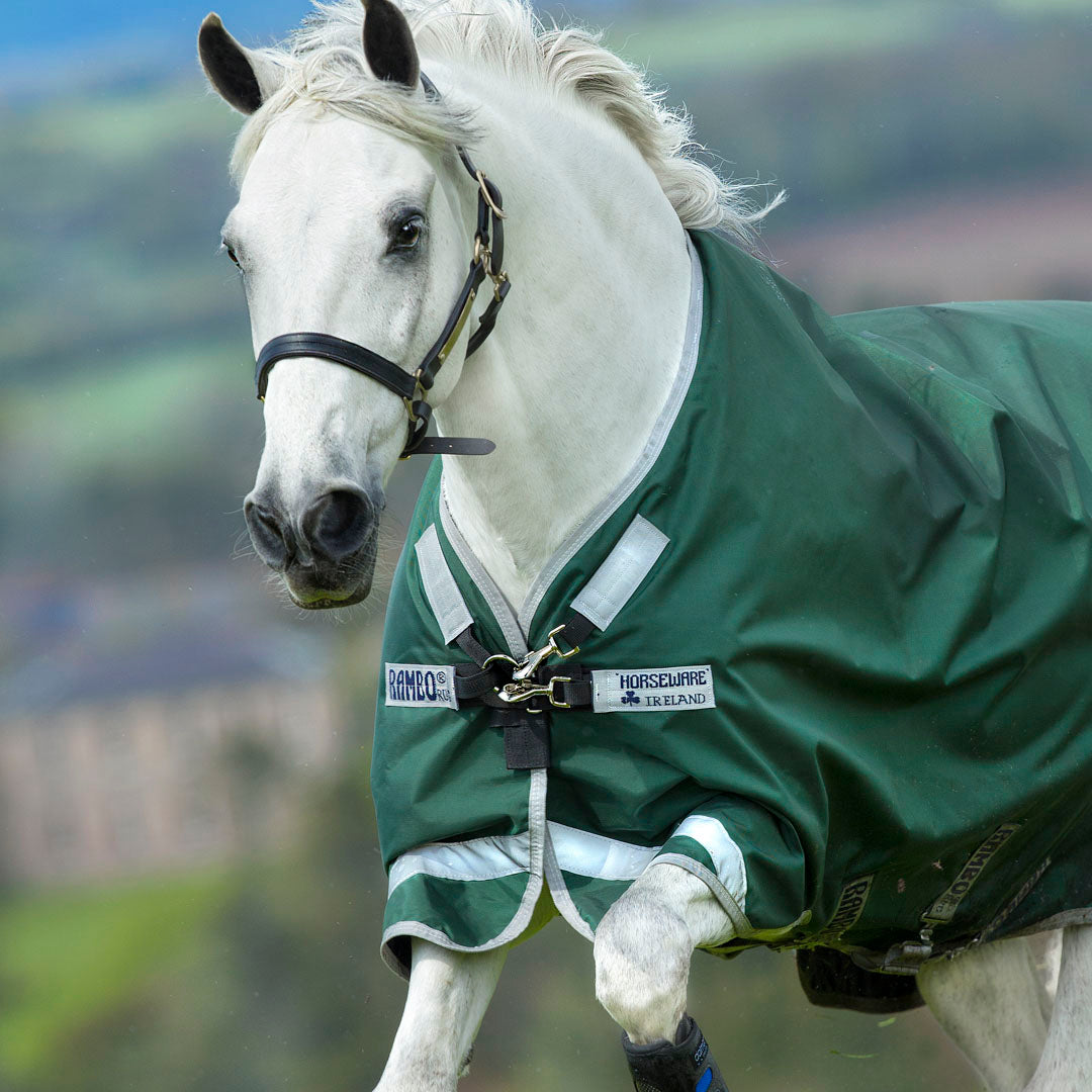 #colour_green-silver