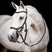 Horseware Ireland Micklem 2 Competition Bridle With Reins #colour_black