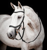 Horseware Ireland Micklem 2 Competition Bridle With Reins #colour_black