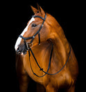 Horseware Ireland Micklem 2 Deluxe Competition Bridle With Reins #colour_black