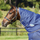Weatherbeeta Comfitec Premier Free Neck Rug Lite #colour_dark-blue-grey-white