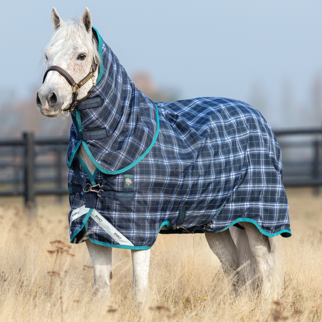 #colour_navy-check-teal