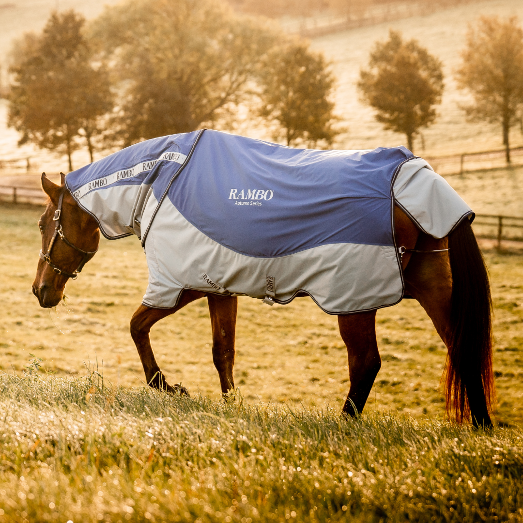 Horseware Ireland Rambo Autumn Series