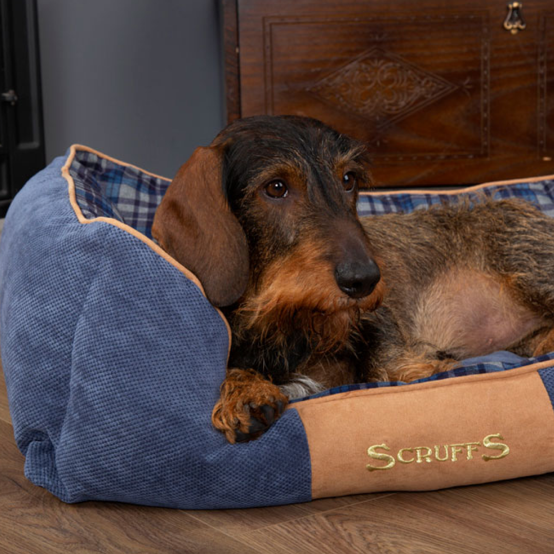Scruffs Highland Box Bed #colour_blue
