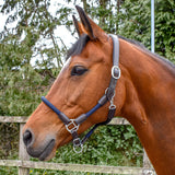 Whitaker Raywell Headcollar