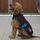 Weatherbeeta Comfitec Premier Free Parka Dog Coat Medium #colour_grape-purple-blue