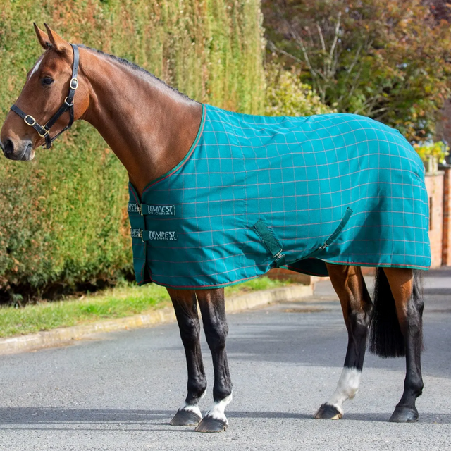 Shires Tempest Original Stable Sheet #colour_green-check