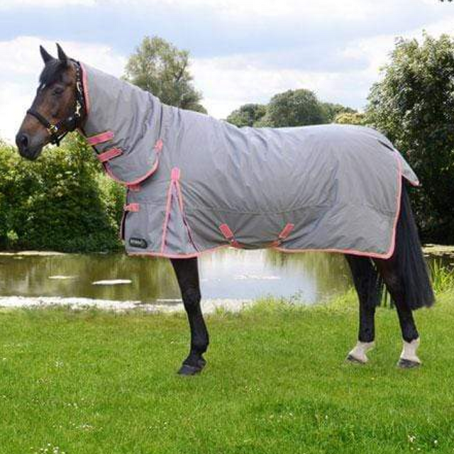 StormX Original 300g Combo Turnout Rug #colour_grey-pink-yellow