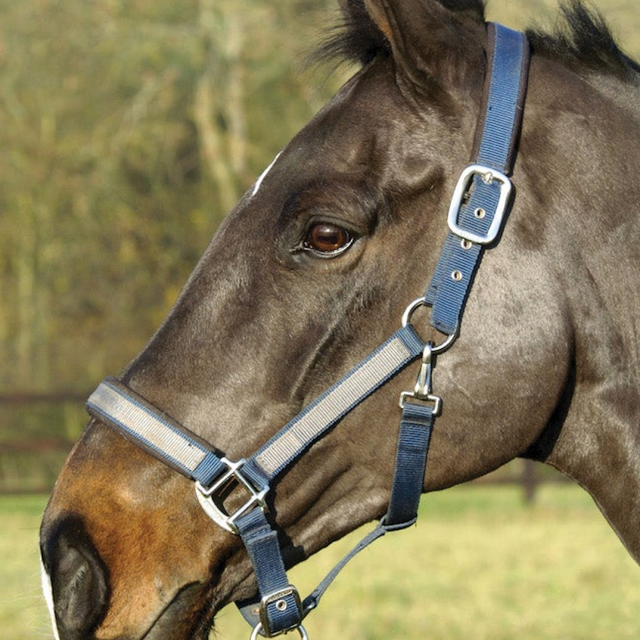 Mark Todd Padded Headcollar #colour_navy-grey