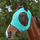 #colour_turquoise-black